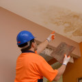 How do inspectors check for mold?