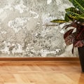 Is mold a deal breaker when buying a house?