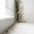 From Inspection To Removal: Safeguarding Your Ohio Property From Mold Infestation