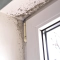 How Emergency Mitigation Services In Philadelphia Can Help You Handle Mold Damage Inspection
