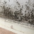 The Connection Between Energy Efficiency Upgrades and Mold Growth Risks