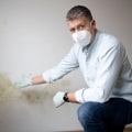 Why a Mold Inspection Can Reveal the Need for a Plumbing Inspection in Phoenix, AZ