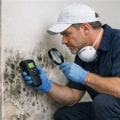 Discover the Importance of Professional Mold Inspection in Portland