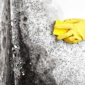 How to get free mold inspection?