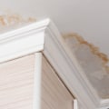 How Sunol Plumbers Help Prevent Water Damage And The Need For Mold Inspection