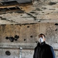 Can a house with mold be fixed?