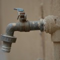 Keep Your Louisville, CO Home Mold-Free with Expert Plumbing