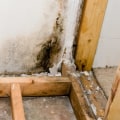 Can mold removal be covered by insurance?