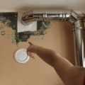 Is there a mold detector?
