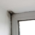 Taking Action Against Mold: A Guide To Effective Removal Post-Inspection In Your Metro New Orleans Home