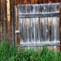 Why Dry Rot Repair Service Should Always Be Paired With Mold Inspection In Tigard, OR?