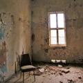 How Mold Inspection Can Ensure Success During Mold Removal Process In Long Island