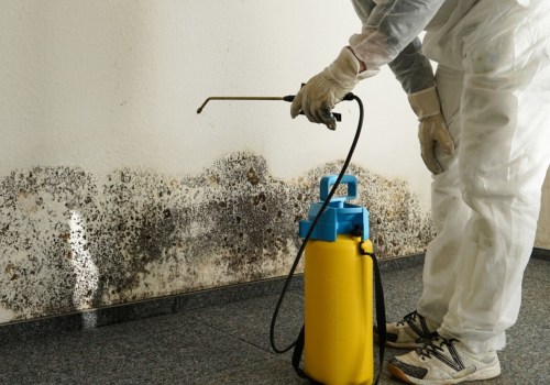 How mold inspection is done?