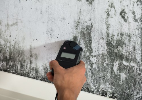 Mold Inspection: Protect Your Home and Health with Early Detection and Prevention