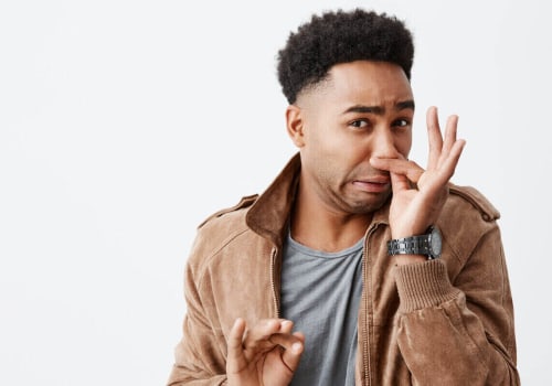 Mold Or Dead Animal Smell Odor Removal In Dallas