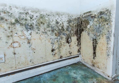 Where to report mold in a house?