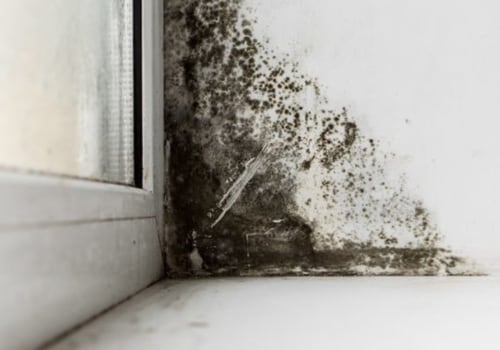 Does home inspection check for mold?