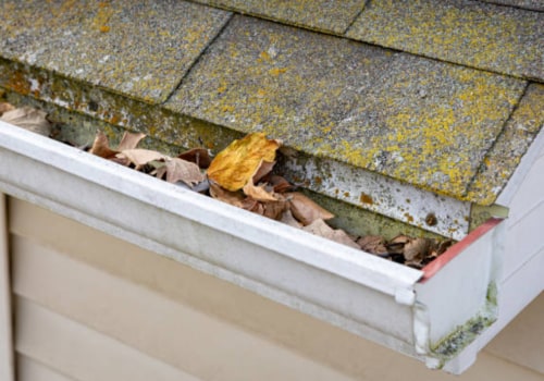 How Seasonal Roof Damage Can Trigger Unexpected Mold Problems Indoors