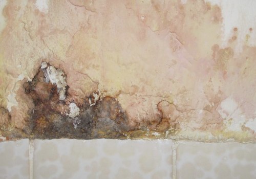 Early Detection, Health Protection: Why Mold Inspections Matter