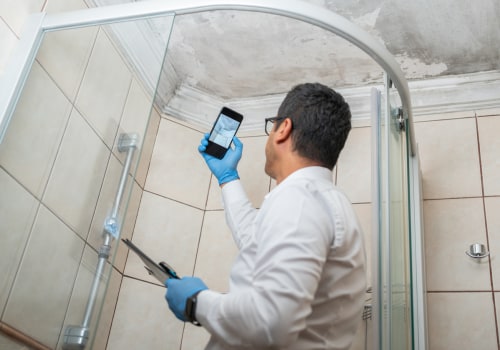 Who to call for mold inspection?