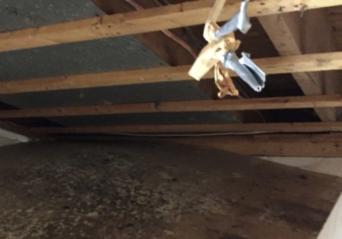 Do all mold tests come back positive?