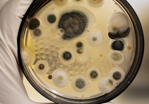What is the most accurate mold test?