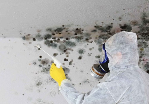 How much mold inspection?