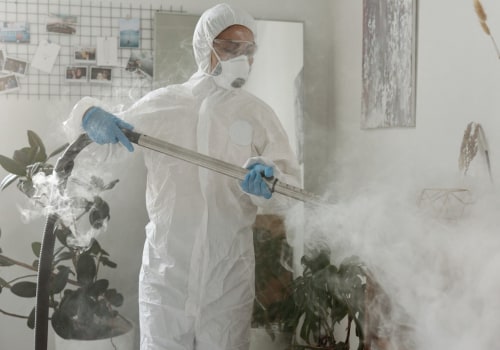 How Mold Inspection Sets The Stage For Mold Removal: A Comprehensive Guide For Champaign Homeowners