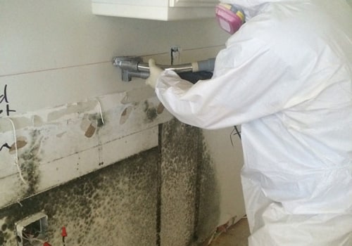 Mold Inspection In Toronto: Waterproofing Prevents Black Molds