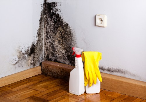 Mold Inspection Matters: Protect Your Home and Health with Early Detection