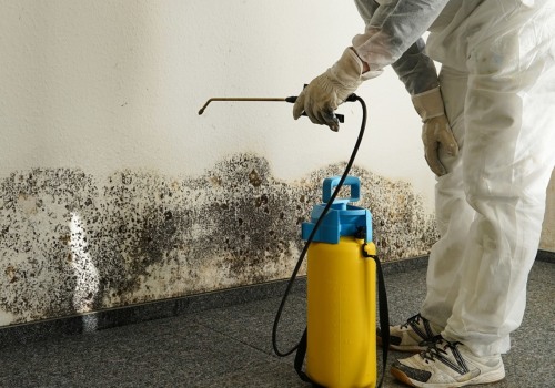 Don't Let Mold Take Over: A Guide To Remediation In Seattle After Inspection