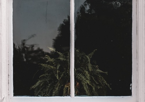 Brighten Your Home with Expert Mold Inspection & Window Cleaning