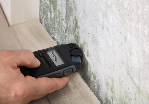 Is mold sampling necessary?