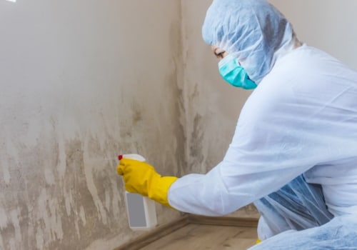 The Ultimate Guide To Mold Remediation And Inspection Services In Hollywood, FL