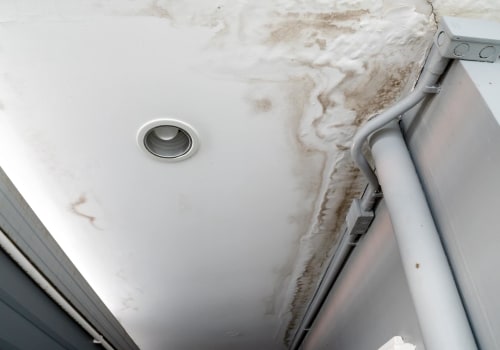 Resolve Plumbing Issues After Mold Inspection