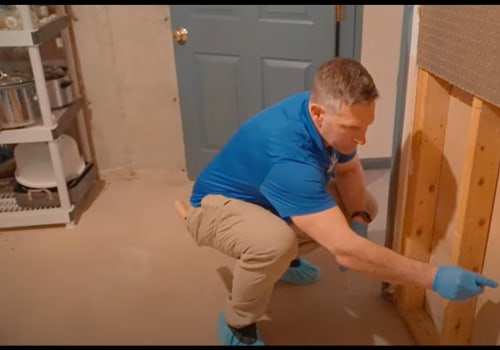 The Importance of Mold Inspection During Home Buying