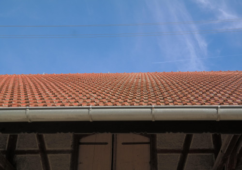 Protect Your Home with Professional Mold Inspection