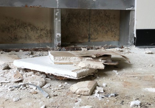The Importance Of Mold Inspection In Toms River, NJ: What You Need To Know