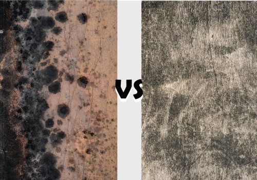 How Mold Remediation Differs Between New Builds and Older Homes