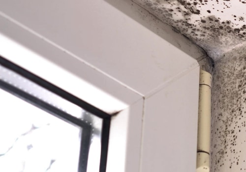 Can mold be completely removed from a house?