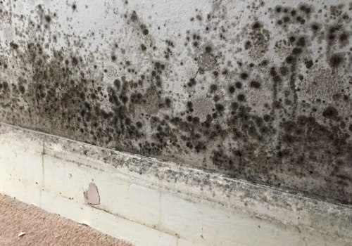 The Connection Between Energy Efficiency Upgrades and Mold Growth Risks