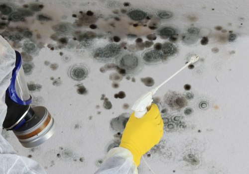 Do i really need mold remediation?