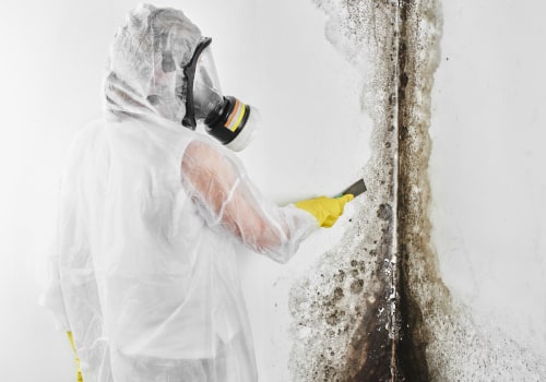 The Final Step To A Cleaner Home: House Cleaning Service In Maryland After Mold Inspection