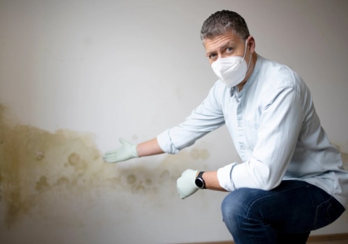 Why a Mold Inspection Can Reveal the Need for a Plumbing Inspection in Phoenix, AZ