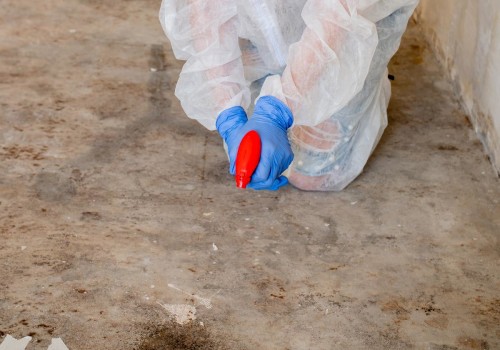 The Importance Of Mold Inspection: Ensuring A Safe And Healthy Home In Post Falls