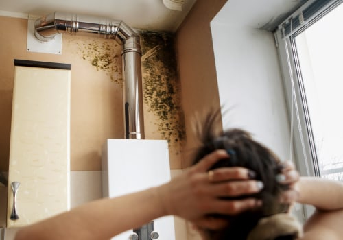 How Water Damage Service Can Protect Your Home Against Mold Inspections In Denver, CO