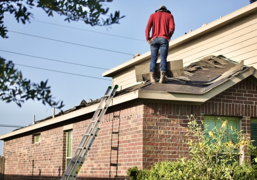 Why a Roof Inspection in Carrollton Often Starts With a Mold Inspection