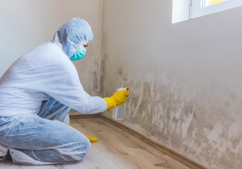 Can mold remediation be capitalized?
