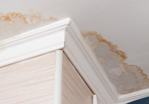 How Sunol Plumbers Help Prevent Water Damage And The Need For Mold Inspection