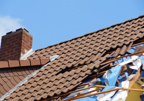 Protect Your Property with Expert Mold Inspection in Cary, NC